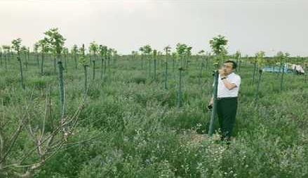 煤泥浮选、高岭土煅烧及煤基固废综合利用项目